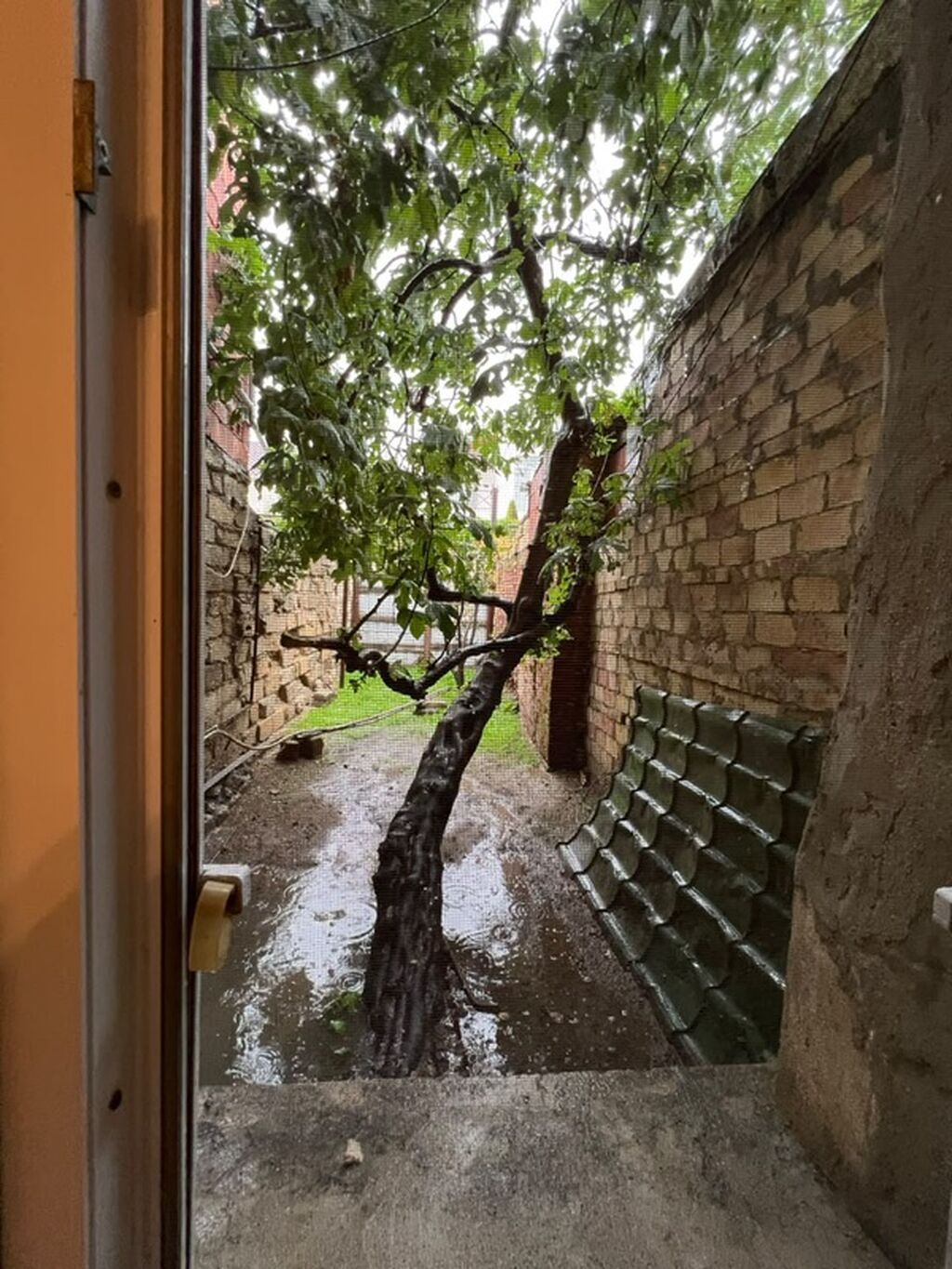 4 otaqlı, 4 kv. m