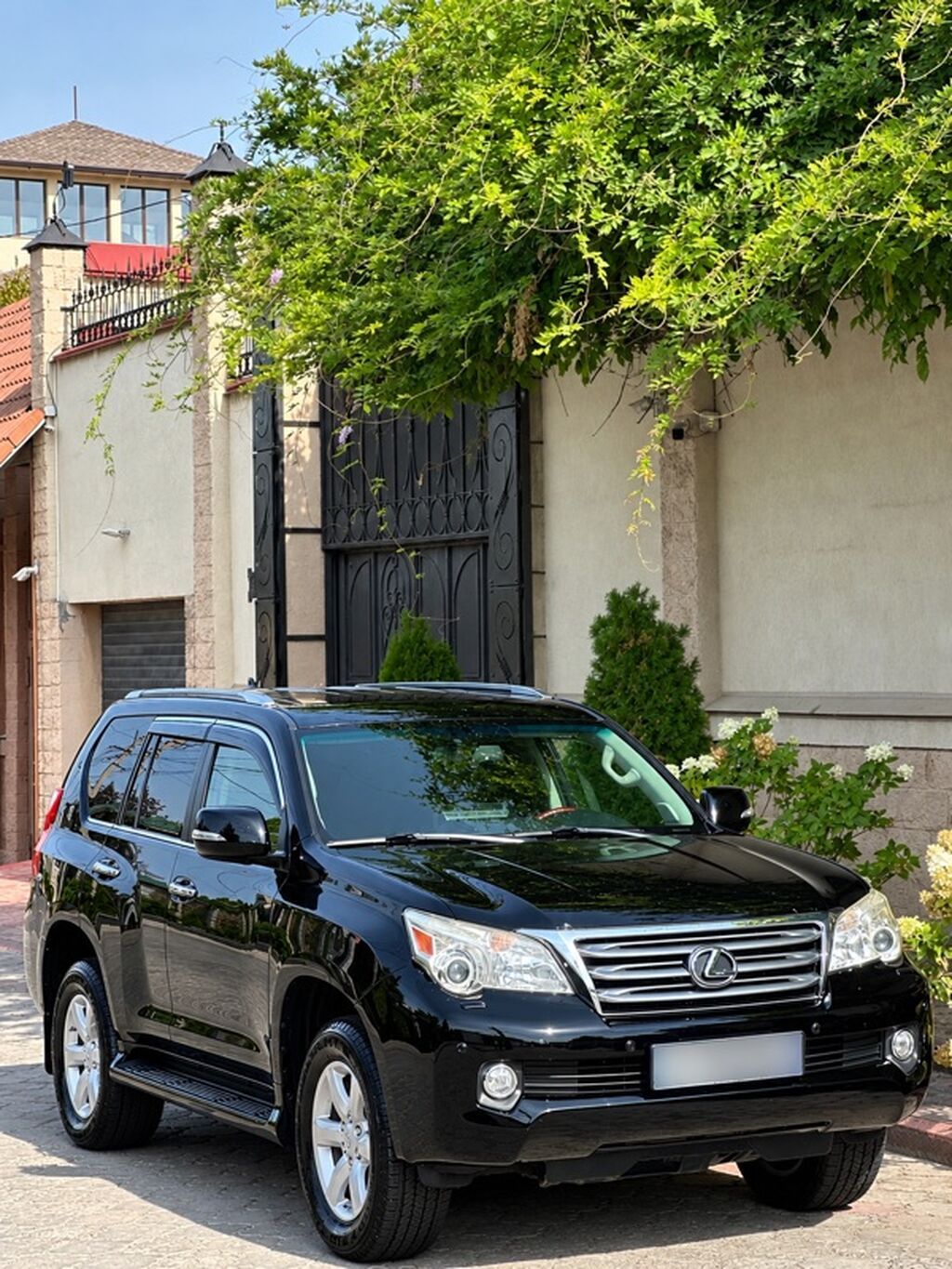 Lexus GX: 2010 г., 4.6 л, Автомат, Бензин, Внедорожник: фото 2