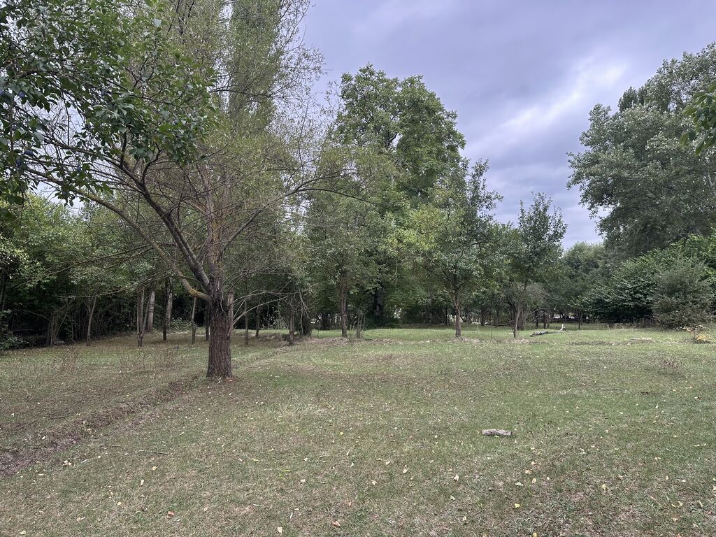 28 sot, Biznes üçün, Mülkiyyətçi, Kupça (Çıxarış)