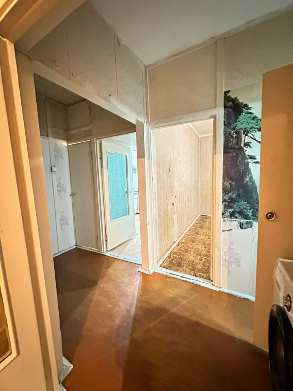 2 комнаты, 55 м², Асанбай мкр Элитка, 3 этаж, Требуется ремонт: фото 3