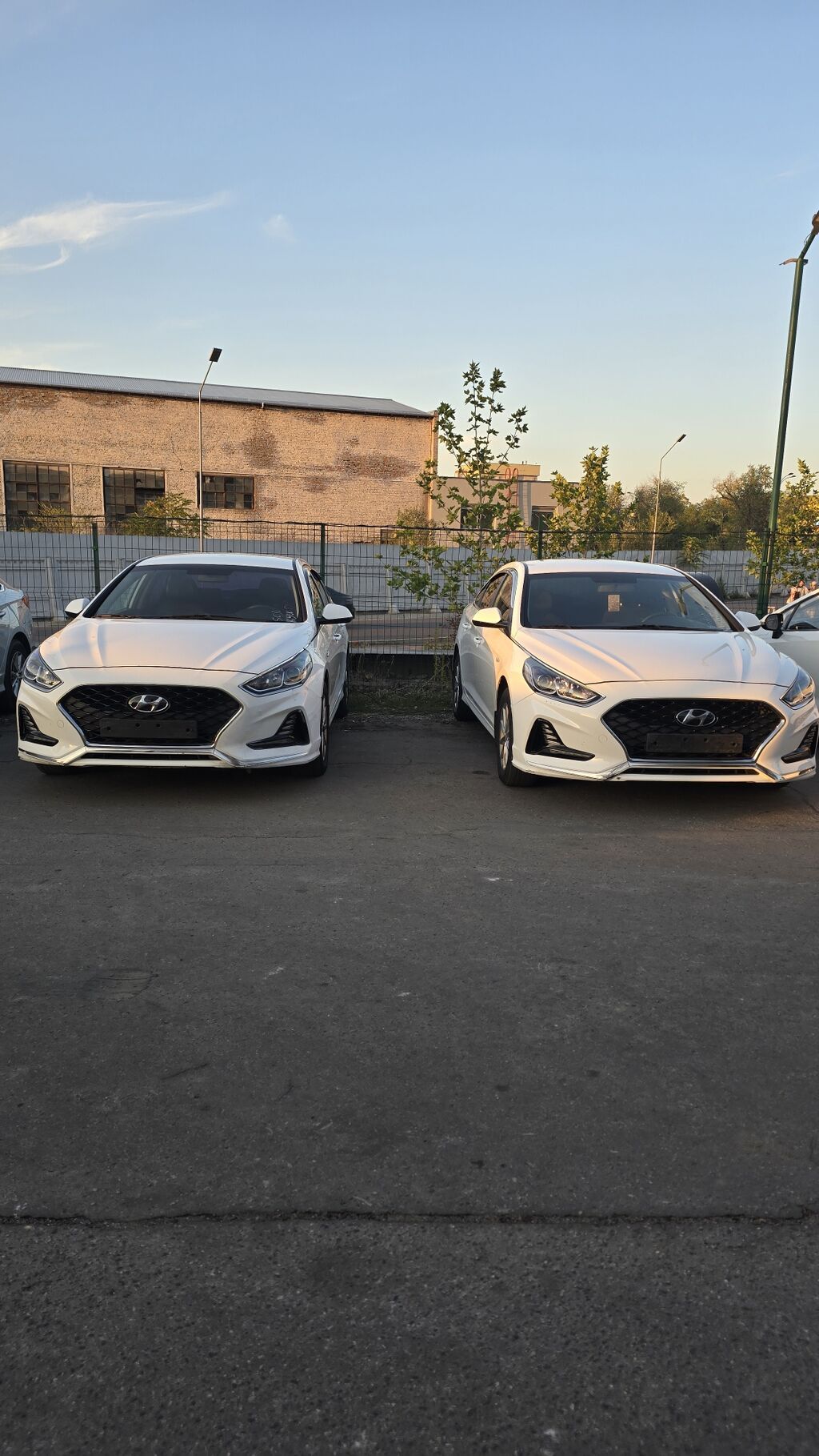 Hyundai Sonata: 2020 г., 2 л, Автомат, Газ, Седан: фото 1