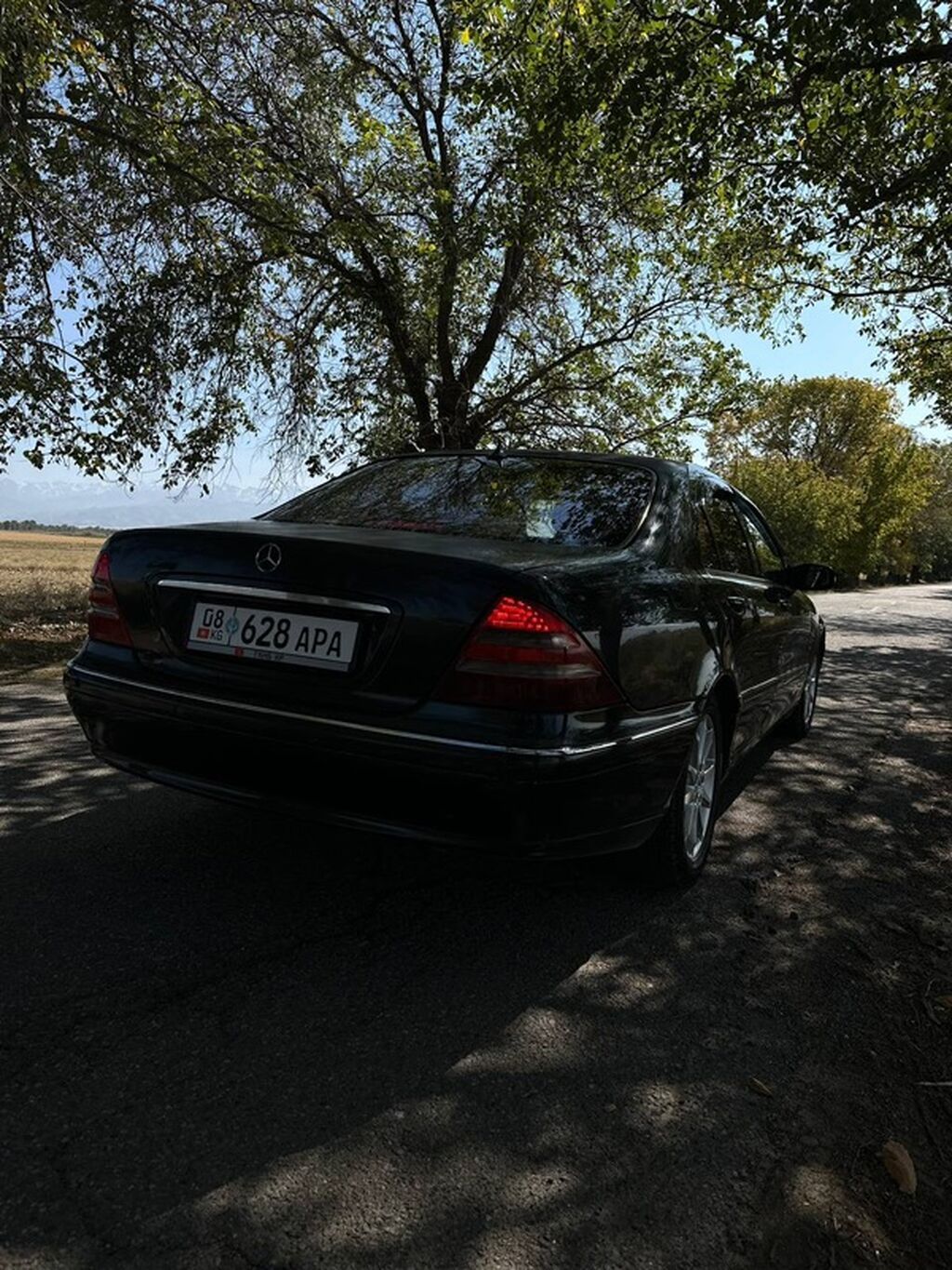 Mercedes-Benz S-Class: 2001 г., 4.3 л, Автомат, Газ, Седан: фото 2