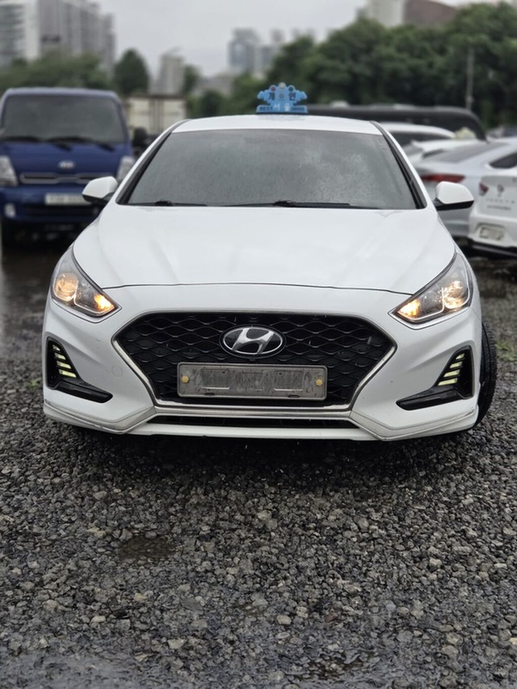 Hyundai Sonata: 2022 г., Седан: фото 4