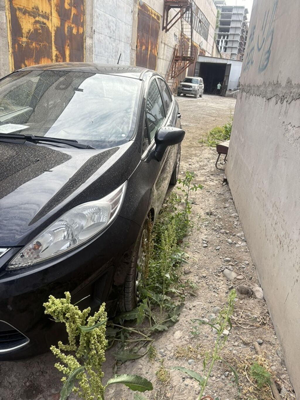 Ford Fiesta: 2010 г., 1.6 л, Механика, Бензин, Седан: фото 2