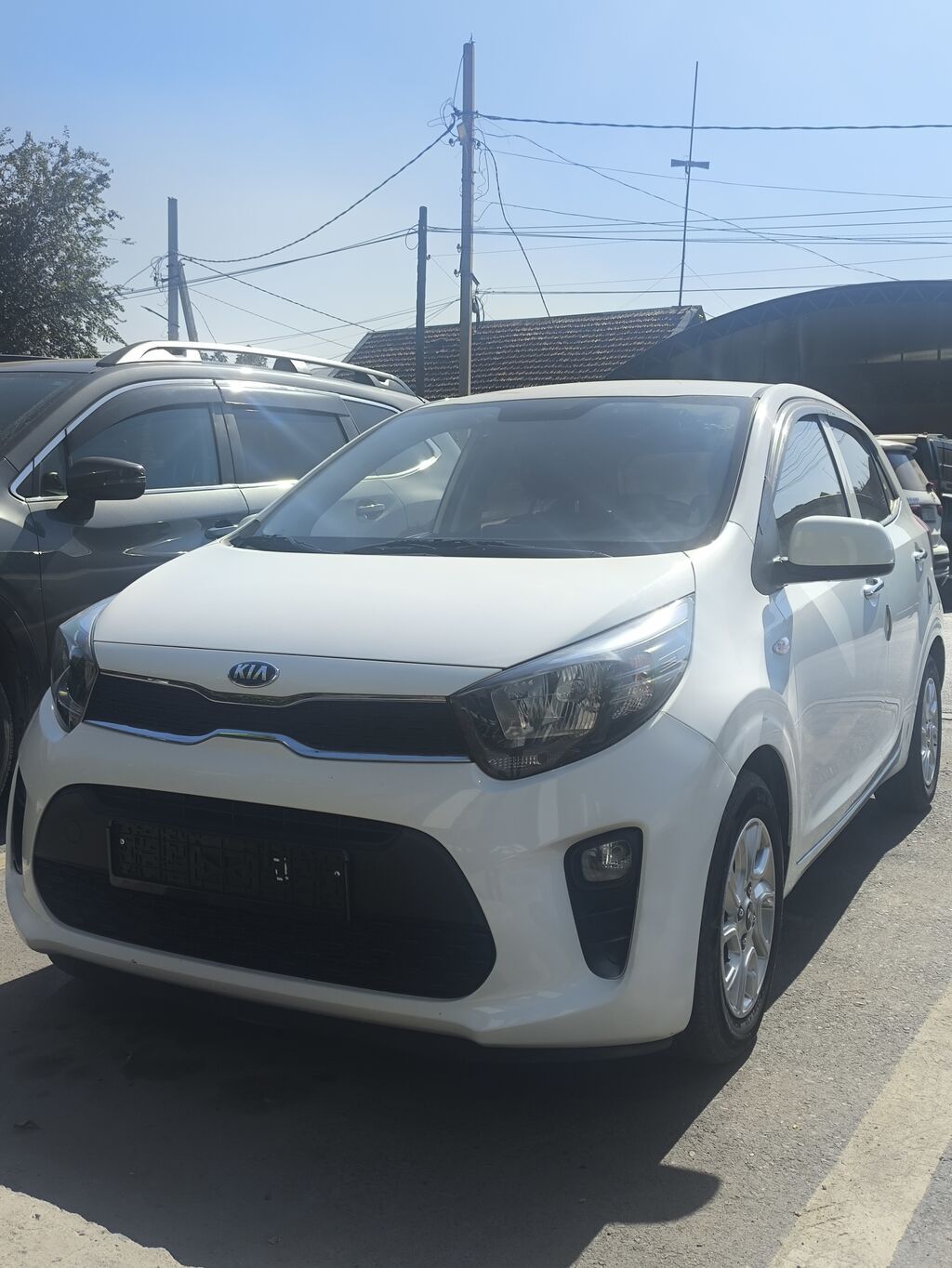 Kia Picanto: 2019 г., 1 л, Автомат, Бензин, Хэтчбэк: фото 4
