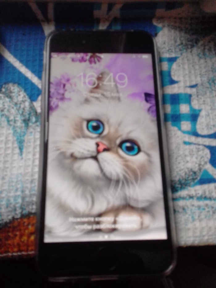 root: IPhone на lalafo.tj IPhone в Кызылрабат