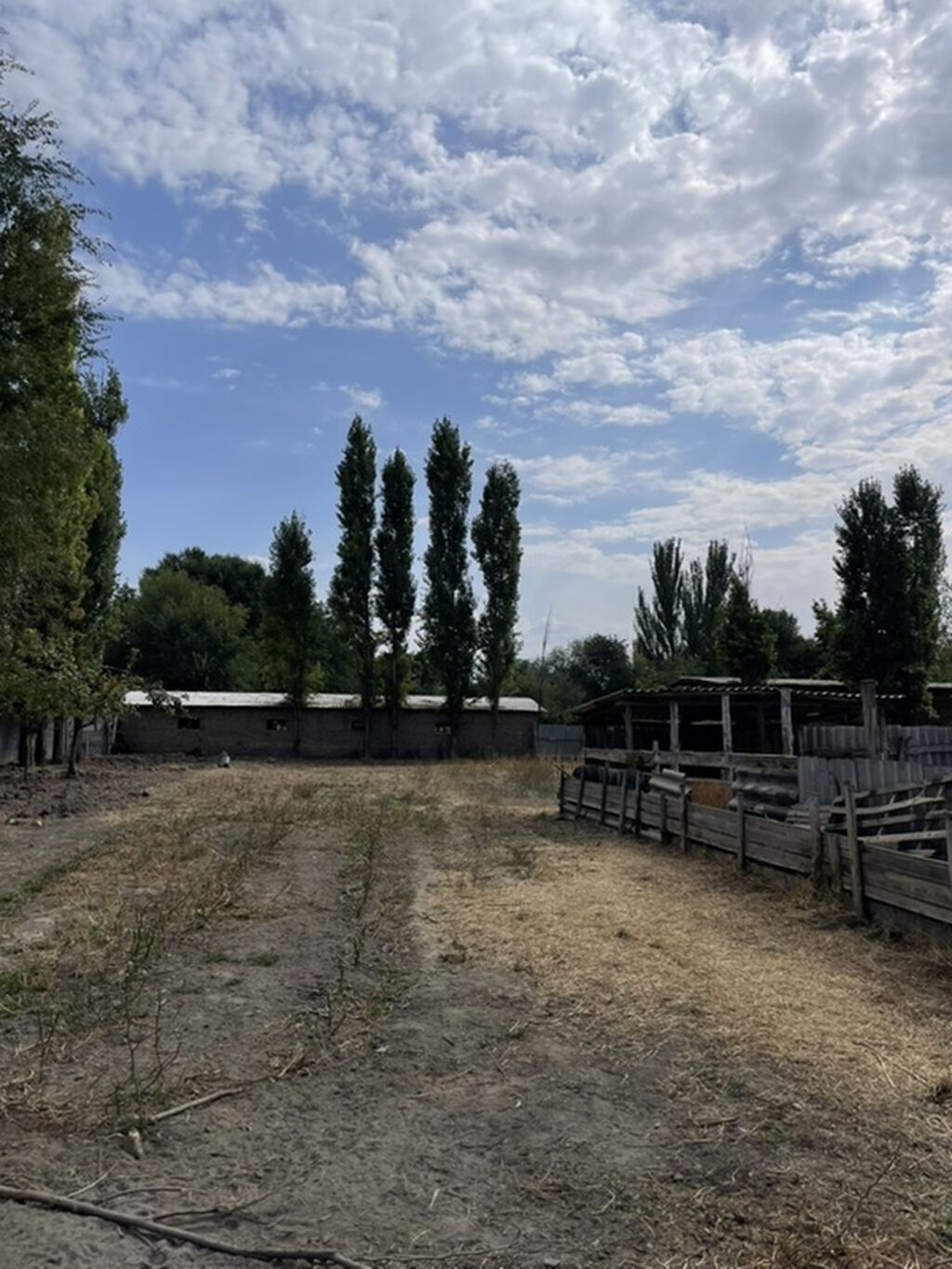 Продаётся дом в с. Новониколаевка Жайылский район, с: фото 8