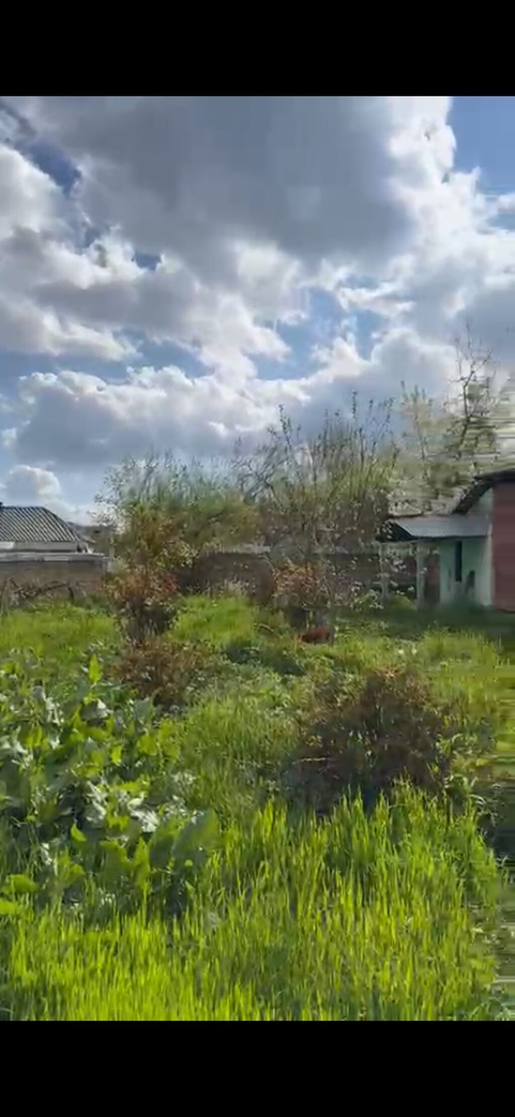 10 sot, Mülkiyyətçi, Kupça (Çıxarış)