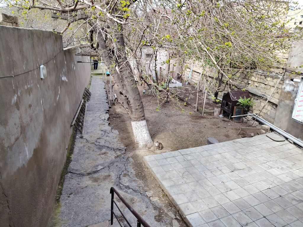 Biləcəri 1 otaqlı, 50 kv. m, Kredit yoxdur, Təmirsiz
