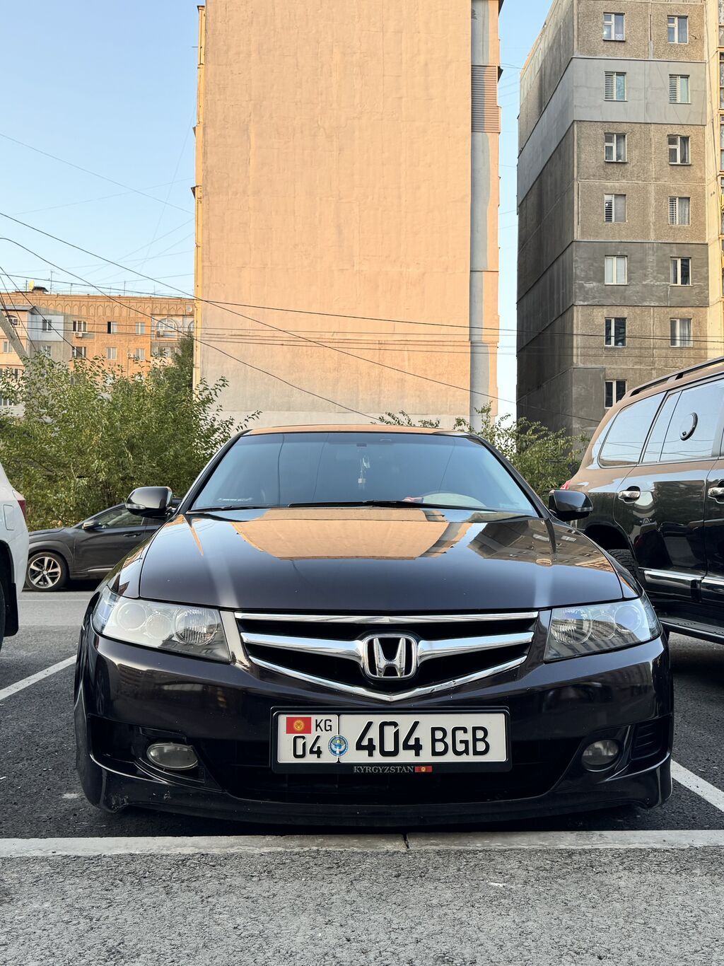 Honda Accord: 2008 г., Автомат, Седан: фото 1