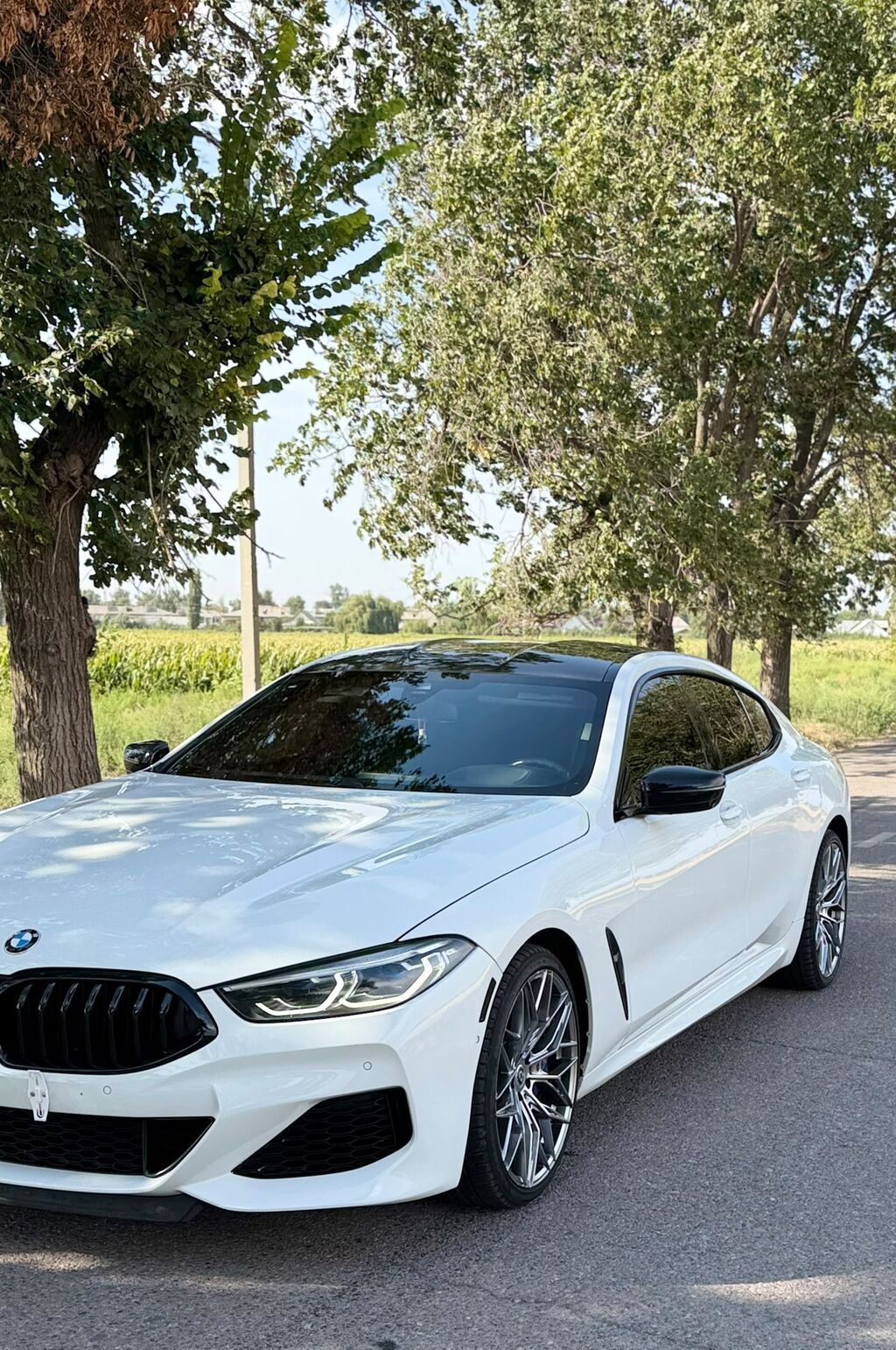 BMW 8 series: 2020 г., 4.4 л, Автомат, Бензин, Купе: фото 3