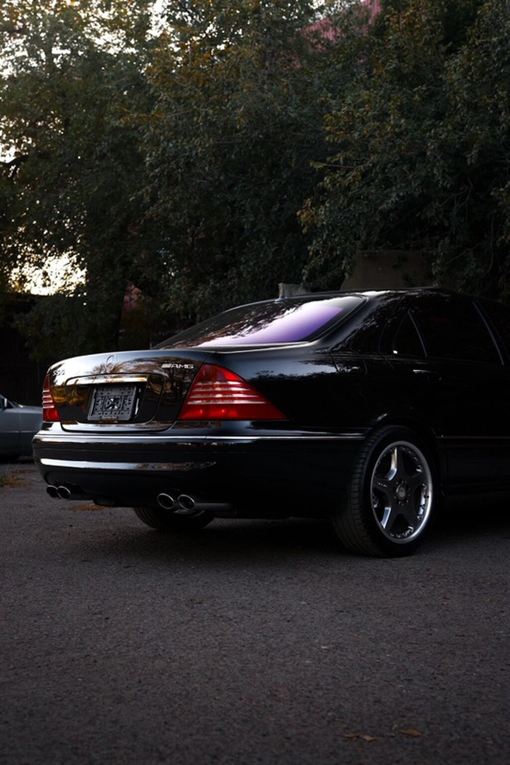 Mercedes-Benz S-Class: 2004 г., 5 л, Автомат, Бензин, Седан: фото 1