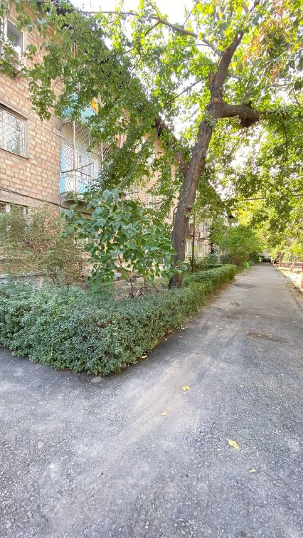 1 комната, 31 м², Карпинка Хрущевка, 1 этаж, Свежий ремонт: фото 8