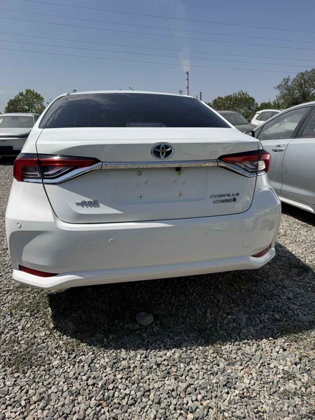 Toyota Corolla: 2022 г., 1.8 л, Автомат, Гибрид, Седан: фото 6