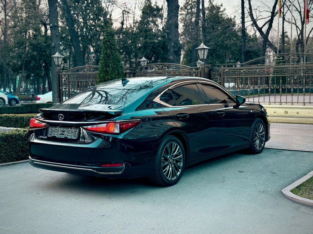 Lexus ES: 2021 г., Бензин, Седан: фото 5