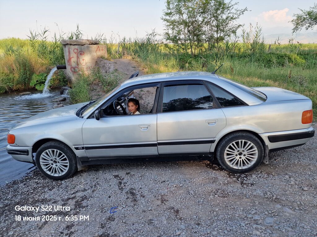 Audi 100: 1992 г., 2.8 л, Механика, Газ, Седан: фото 4