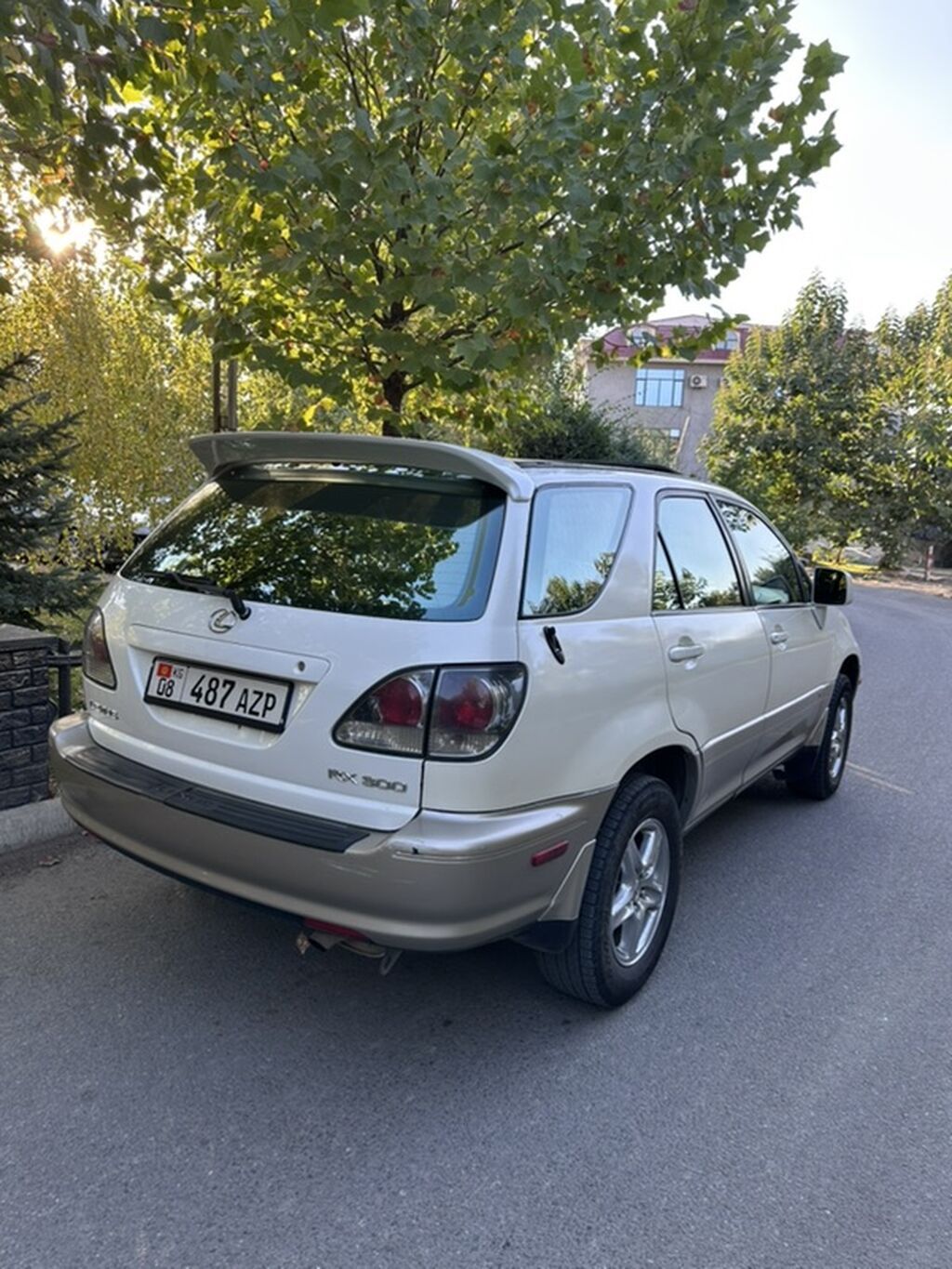 Lexus RX: 2001 г., 3 л, Автомат, Бензин, Кроссовер: фото 1