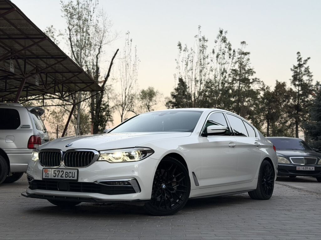 BMW 530: 2019 г., 2 л, Автомат, Бензин, Седан: фото 2