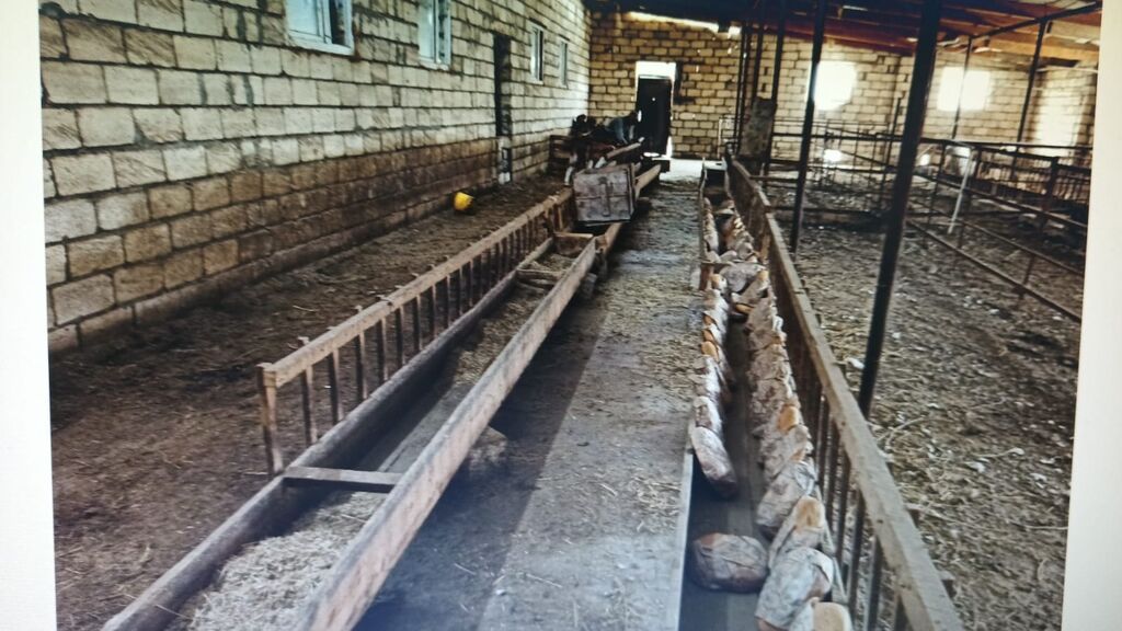 FERMA HAZIR ISTIFADEYE YARARLI HEC BIR XERC TELEB ETMIR UMUMILIKDE 4