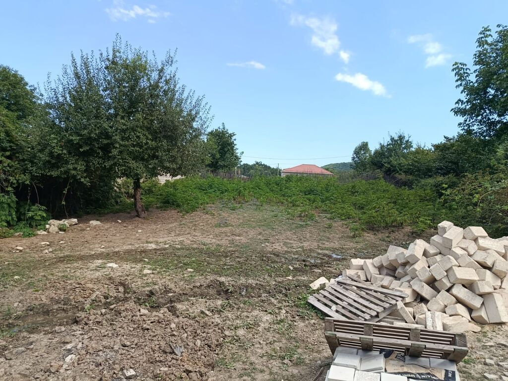 7 sot, Tikinti, Mülkiyyətçi, Kupça (Çıxarış)