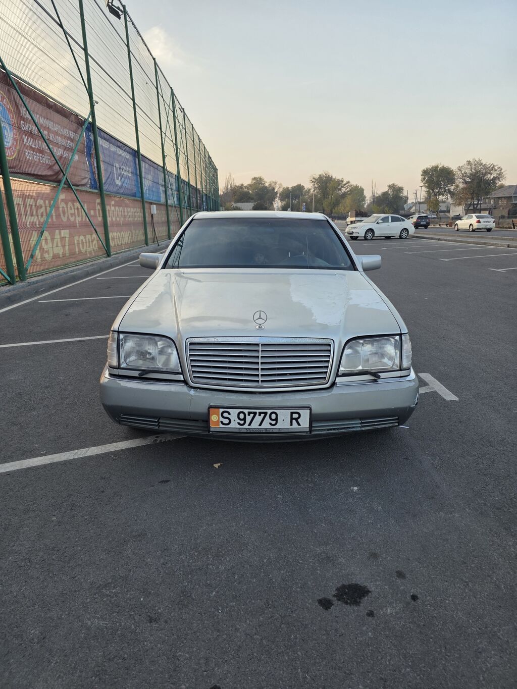 Mercedes-Benz S-Class: 1993 г., 5 л, Автомат, Бензин, Седан: фото 2