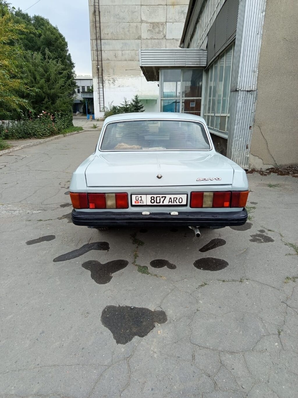 ГАЗ 31029 Volga: 1996 г., 2.4 л, Механика, Бензин, Седан: фото 5