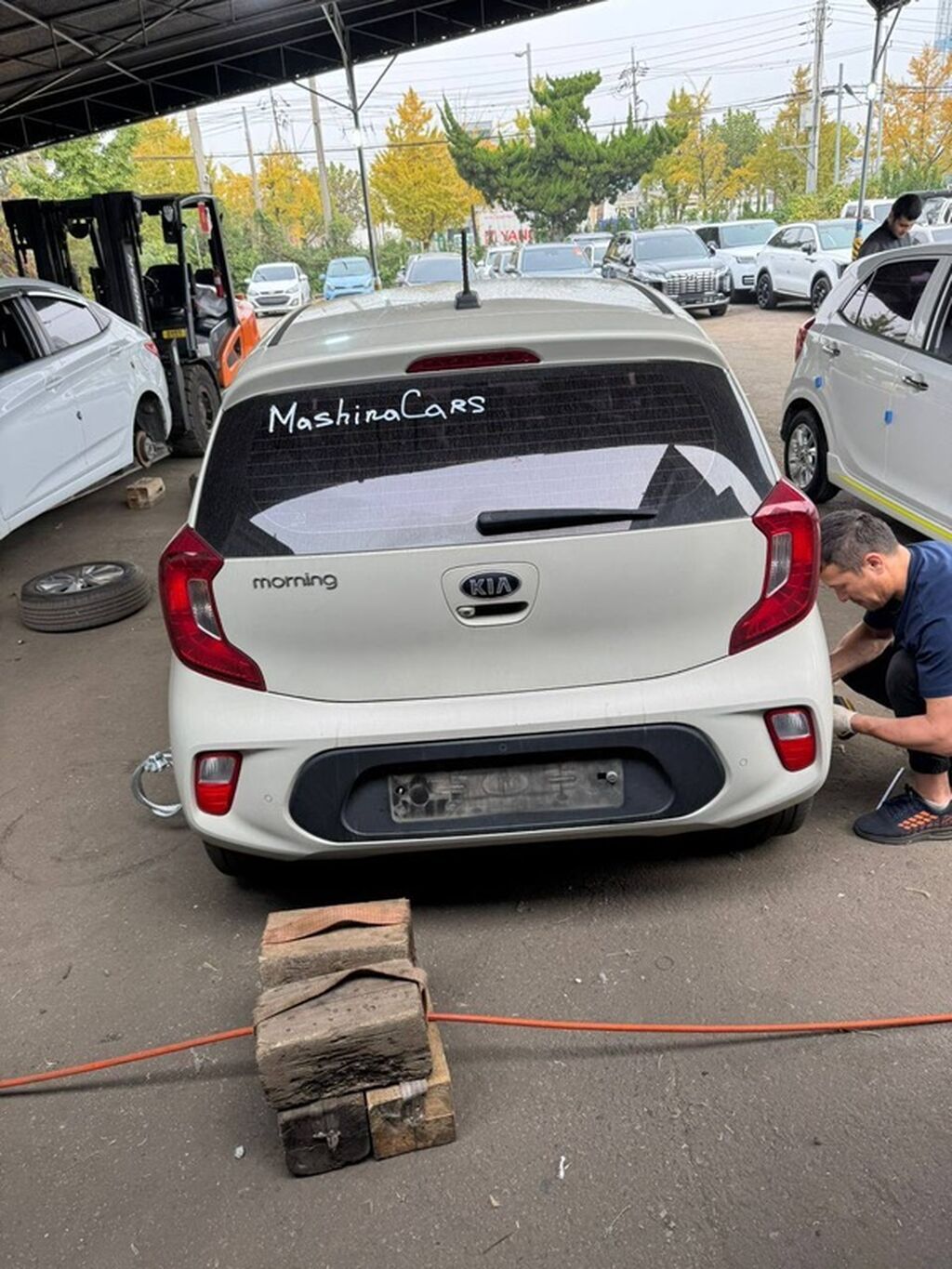 Kia Morning: 2018 г., 1 л, Автомат, Бензин, Хэтчбэк: фото 8