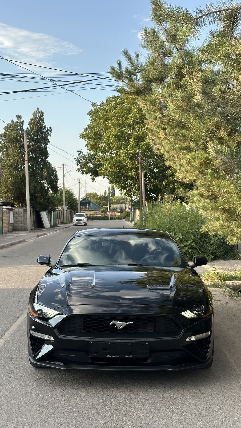 Ford Mustang: 2020 г., 2.3 л, Автомат, Бензин, Купе: фото 2