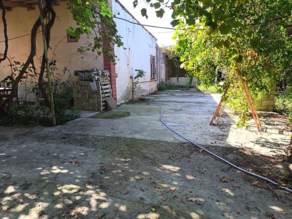 Yaşıl həyətli fərdi ev sahəsi - Geniş həyət: betonlanmış keçid və