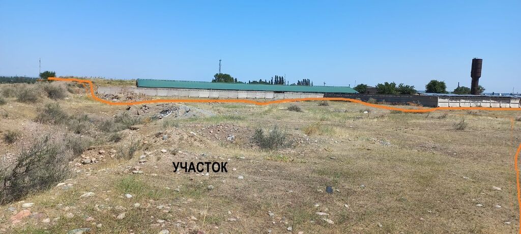 320 соток, Для бизнеса: фото 3