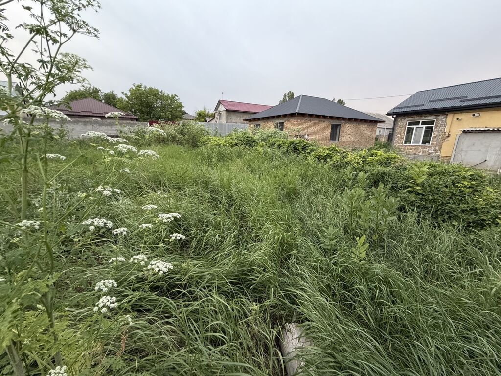 6 соток, Красная книга, Договор купли-продажи: фото 4