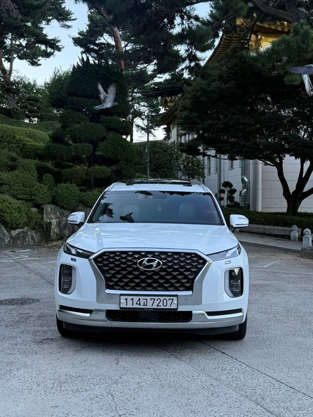 Hyundai Palisade: 2021 г., Кроссовер: фото 5