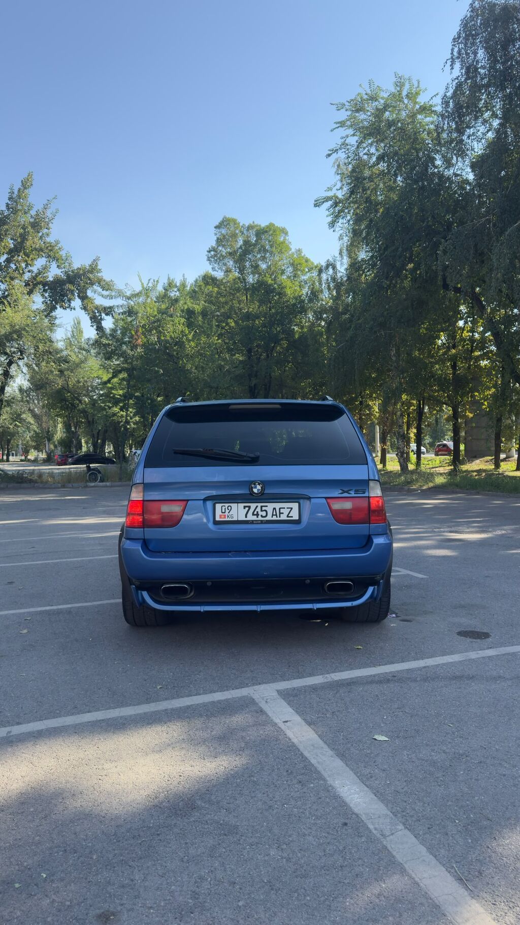 BMW X5: 2003 г., 4.6 л, Автомат, Бензин, Внедорожник: фото 4