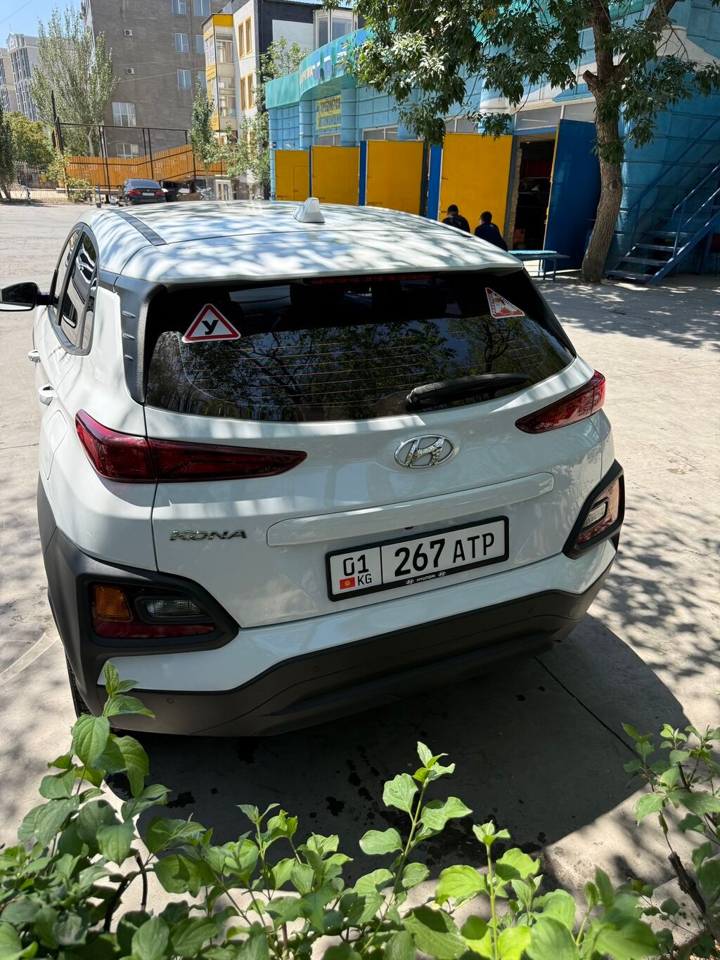 Hyundai Kona: 2020 г., 1.6 л, Робот, Дизель, Хэтчбэк: фото 3