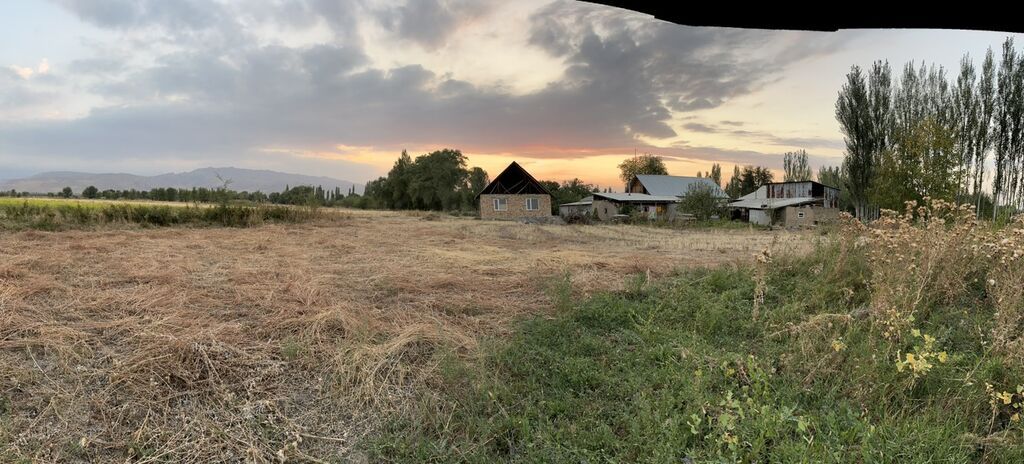 Продается дом с участком в селе Жайылма: фото 3