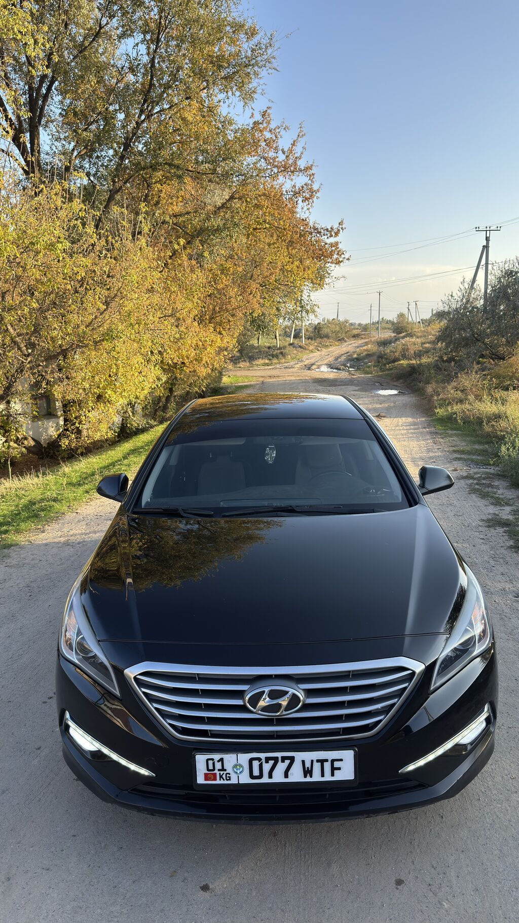 Hyundai Sonata: 2017 г., 2 л, Автомат, Газ, Седан: фото 3