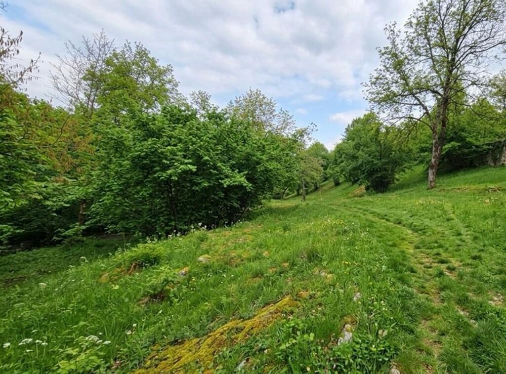 Tikinti, Barter mümkündür, Kupça (Çıxarış)