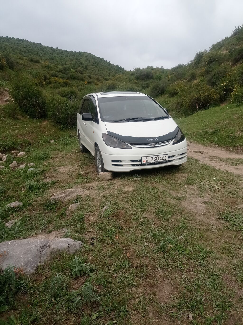 Toyota Estima: 2002 г., 3 л, Автомат, Газ, Минивэн: фото 2