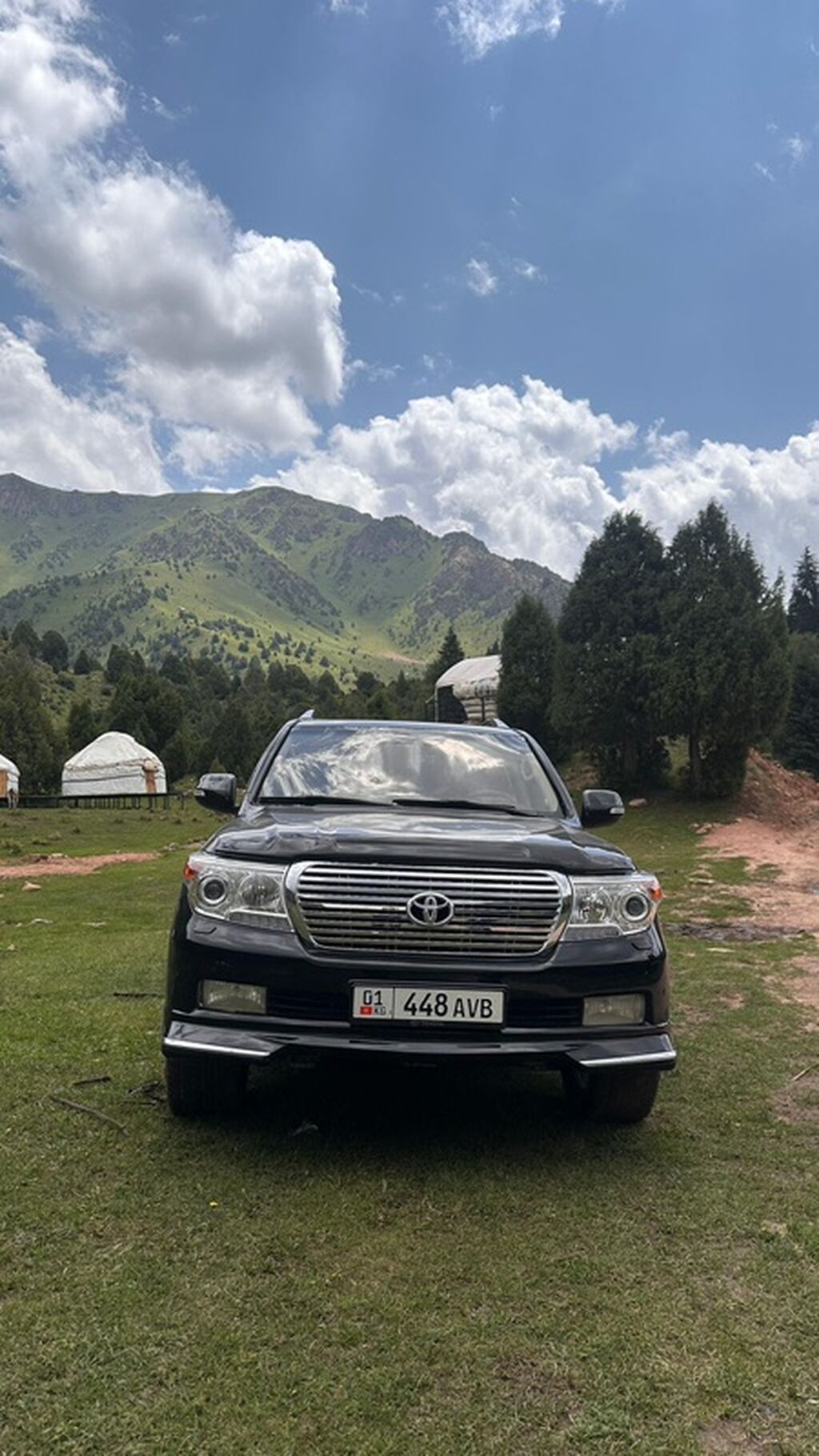 Toyota Land Cruiser: 2008 г., Внедорожник: фото 3