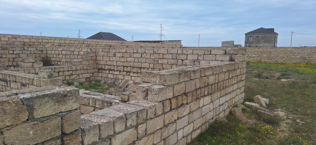 Tikinti