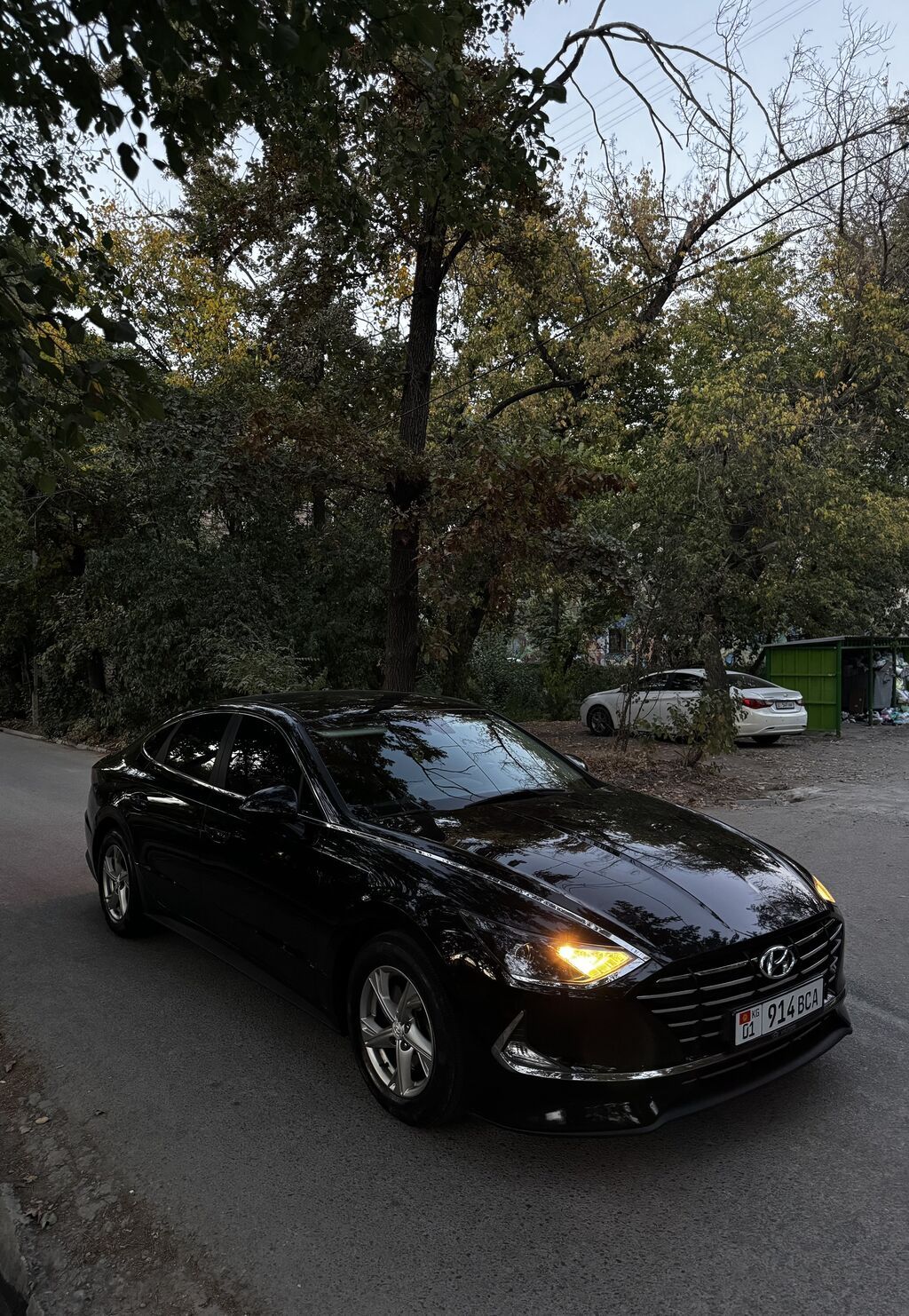 Hyundai Sonata: 2020 г., 2 л, Автомат, Газ, Седан: фото 3