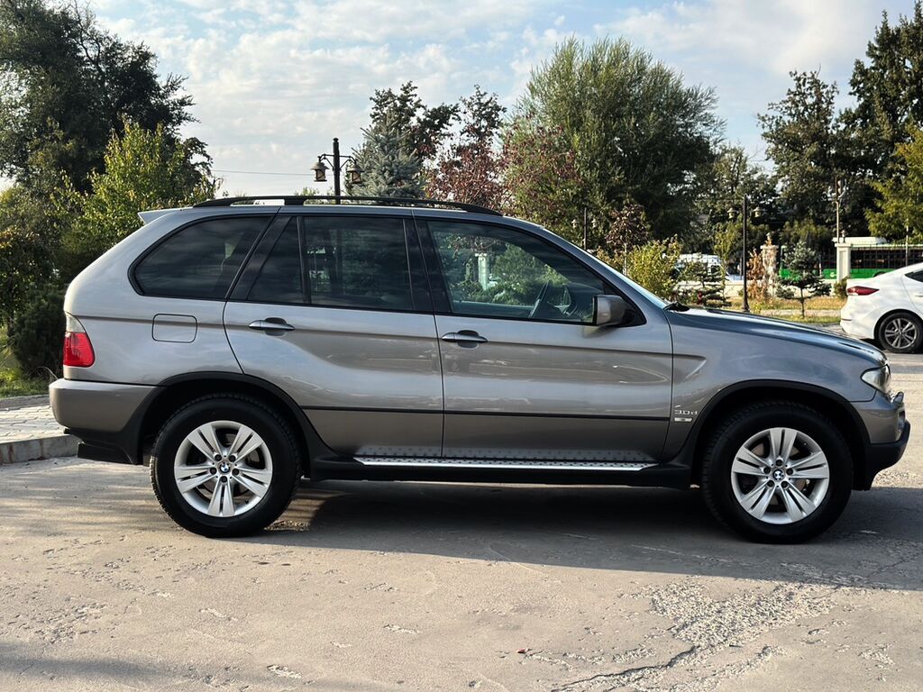BMW X5: 2004 г., 3 л, Автомат, Бензин, Кроссовер: фото 7