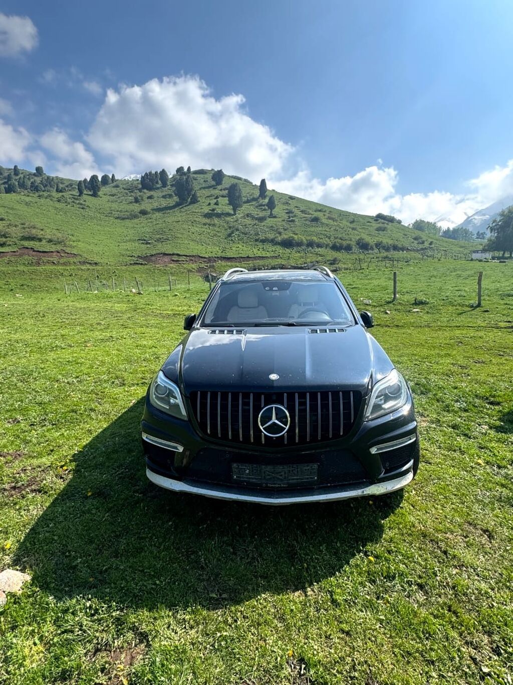 Mercedes-Benz GL-class AMG: 2014 г., 5.5 л, Автомат, Бензин, Внедорожник: фото 8