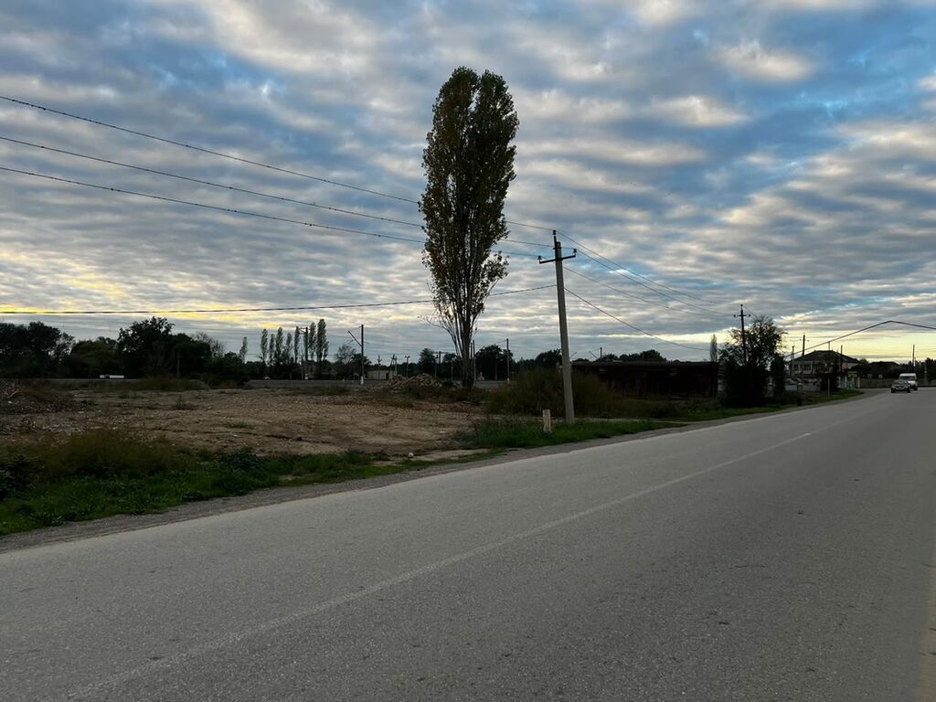 10 sot, Tikinti, Mülkiyyətçi, Kupça (Çıxarış)