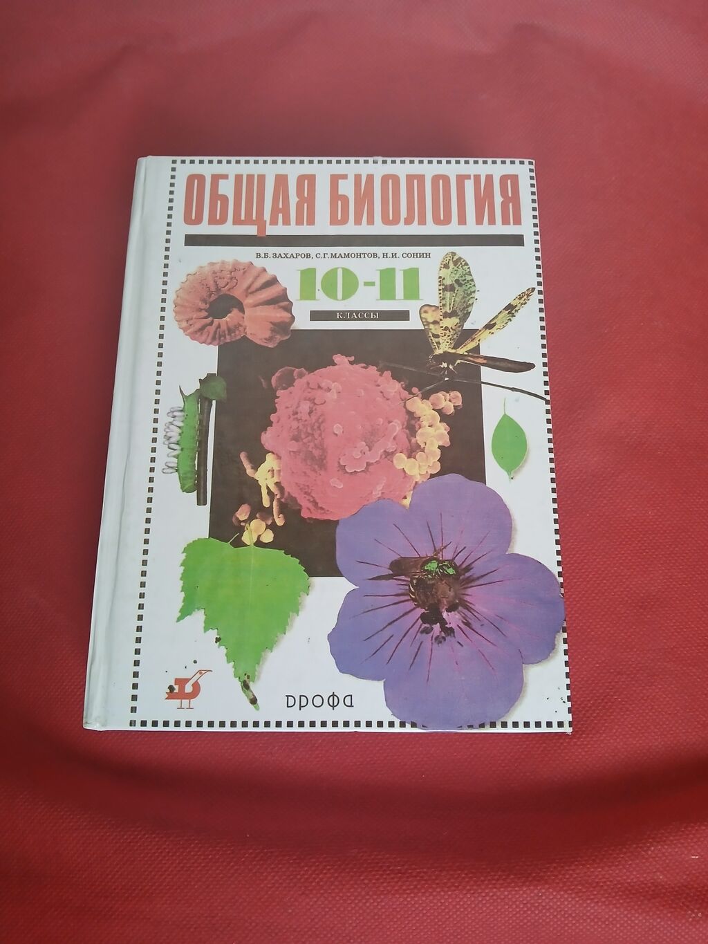 Новый учебник Общая Биология 10-11 кл: 400 KGS ➤ Книги, журналы, CD, DVD |  Бишкек | 34680723 ᐈ lalafo.kg