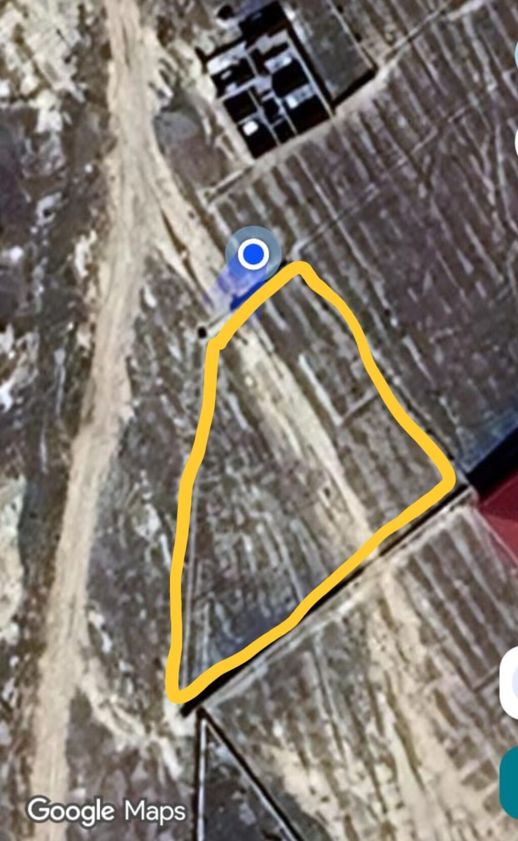 7 sot, Tikinti, Kupça (Çıxarış)