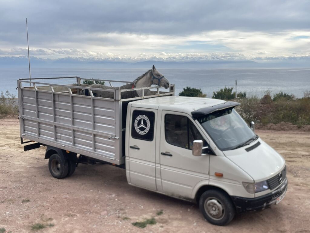 Mercedes-Benz Спринтер: 2001 г., 2.2 л, Механика, Дизель, Фургон: фото 3