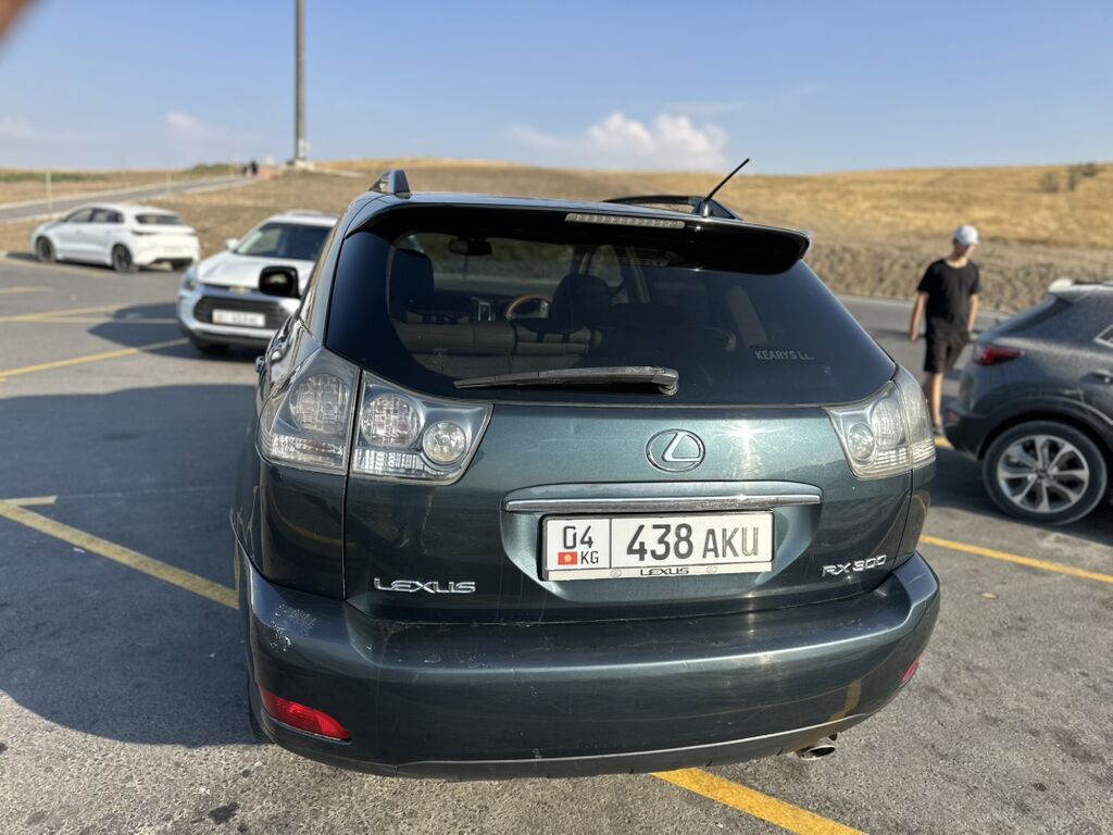 Lexus RX: 2004 г., Автомат: фото 4