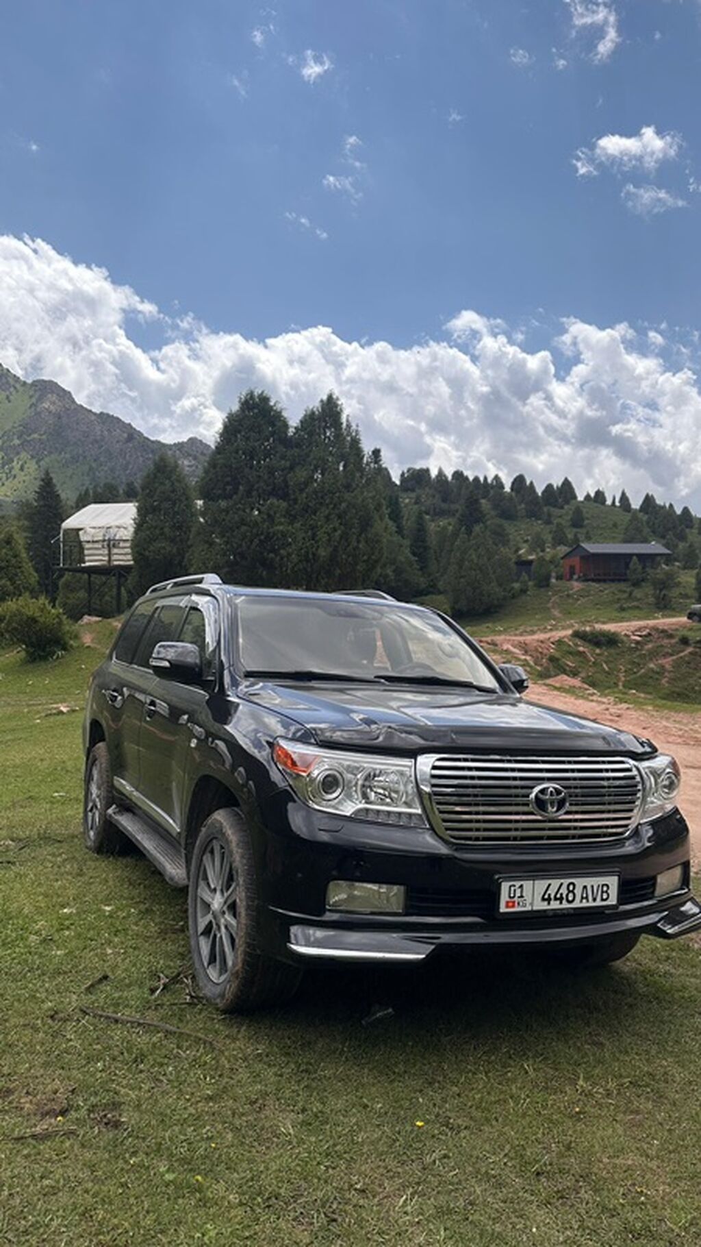 Toyota Land Cruiser: 2008 г., Внедорожник: фото 4
