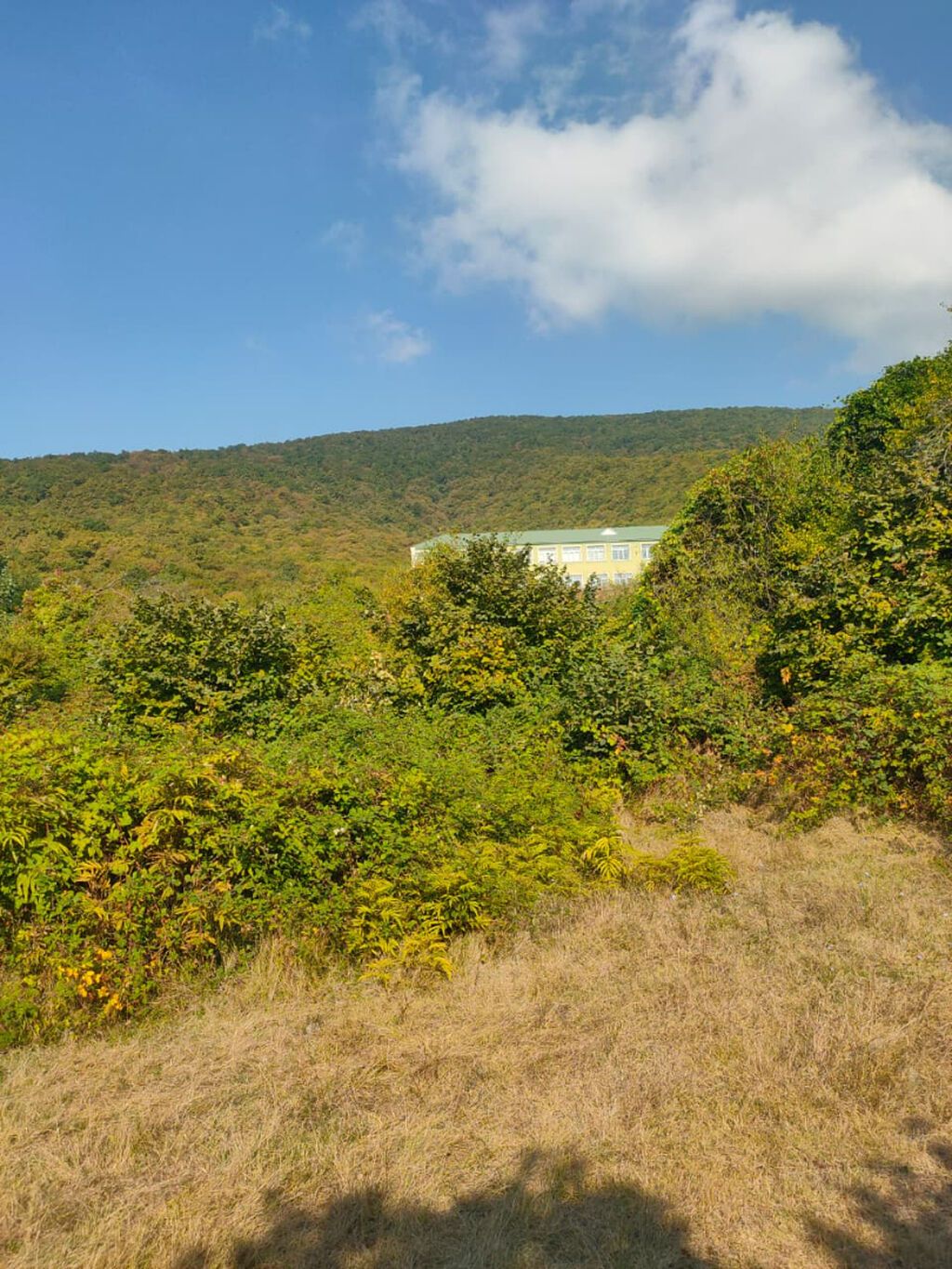 Tikinti, Mülkiyyətçi, Kupça (Çıxarış)